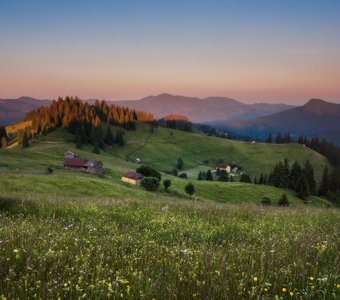 Украина. Карпаты. Цветущие склоны вечером у Дземброни.