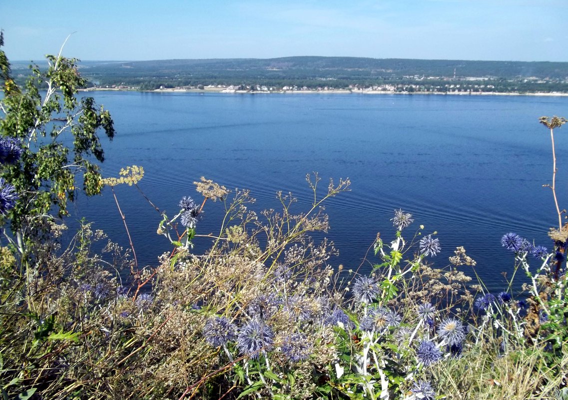 Коробов самарская лука