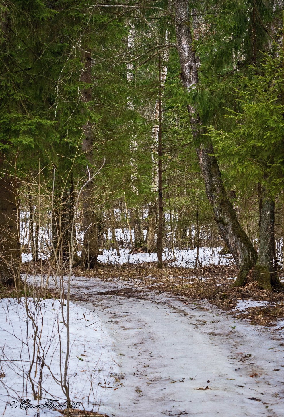 Конец зимы картинки