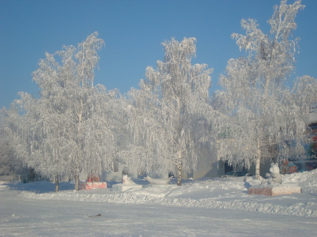 Зимняя сказка.