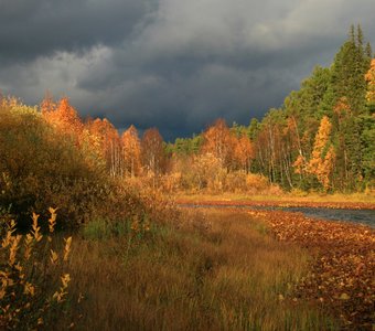 Осень в верховьях Печоры