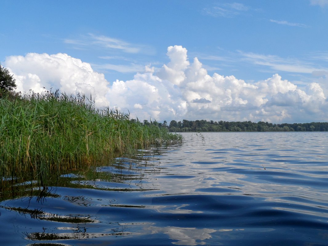 Истринское водохранилище река