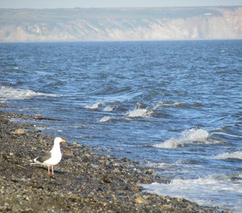 Ждет у моря погоды