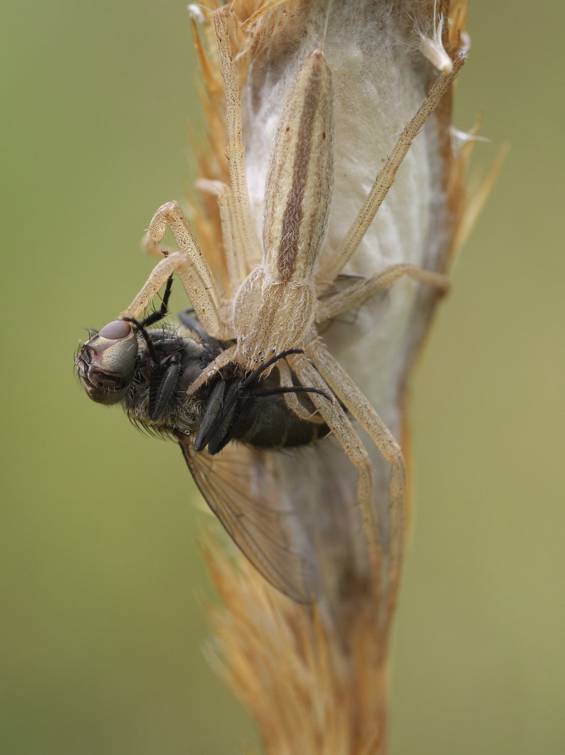 Пора пообедать.