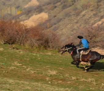 Победитель козлодрана