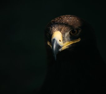 /upload/iblock/8b3/8b37e441699fc9653af7e9c0bf1b927a.jpg