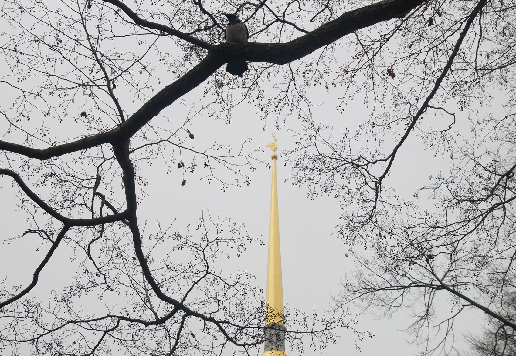 В Петропавловской крепости