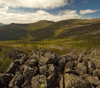 Серебрянка