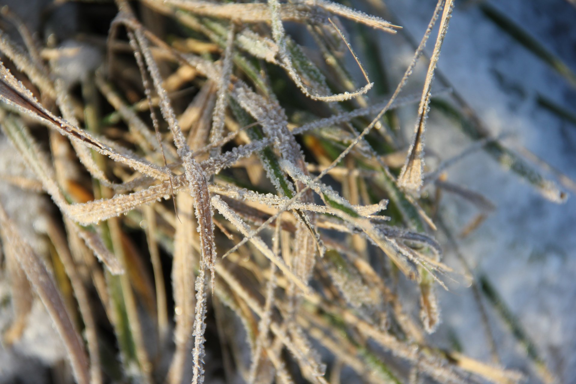 Время перемен