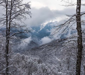 Красная Поляна