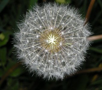 /upload/iblock/69a/69a3cc5d6e8bb456c3279ea8f1daa16e.JPG