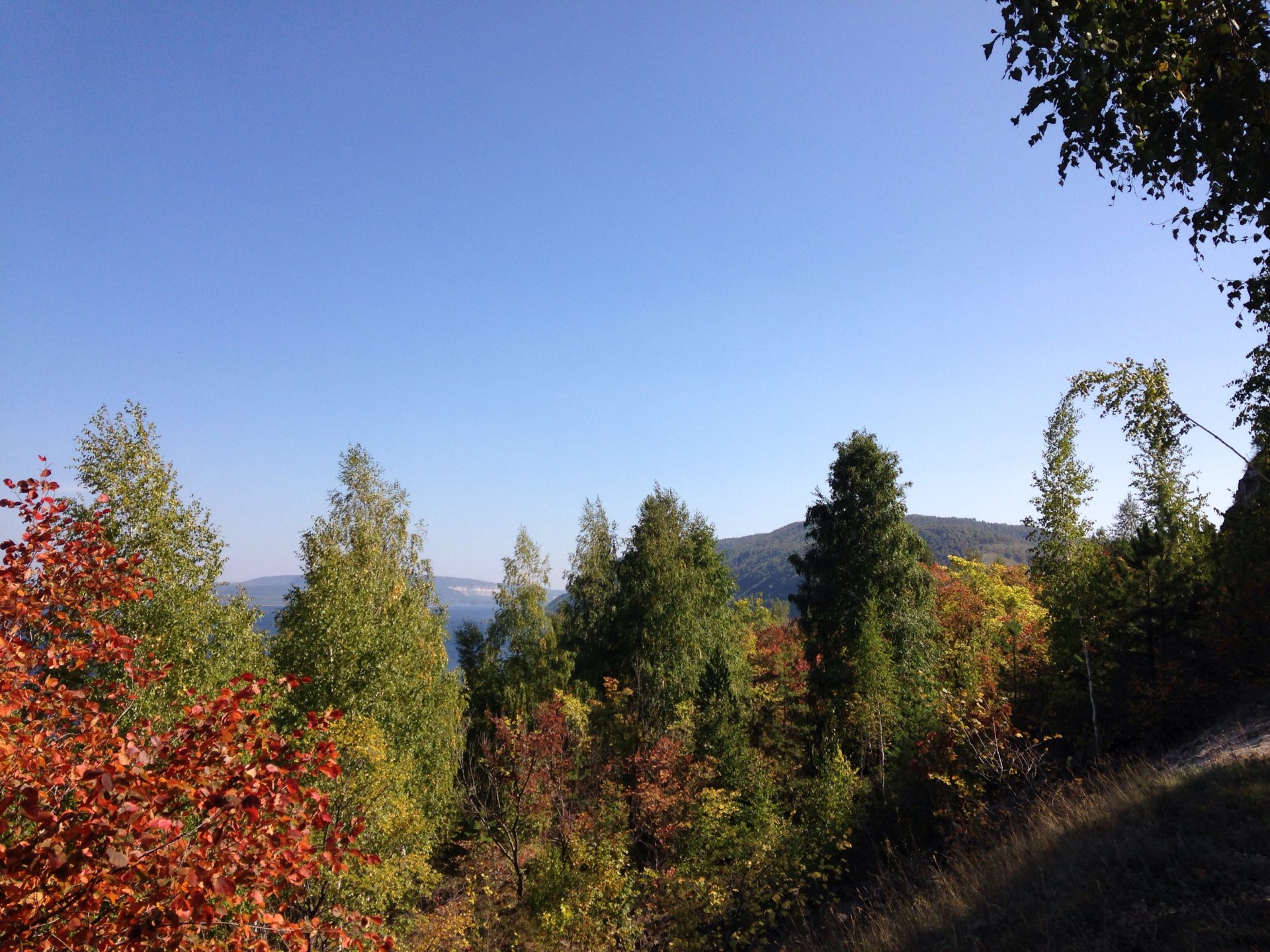 Природа села Ширяево