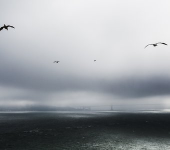 Golden Gate Bridge