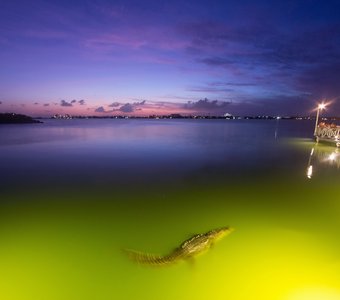 Волшебные краски заката над лагуной в Канкуне