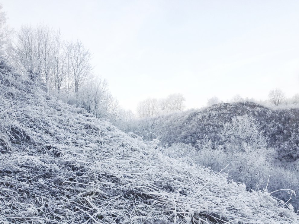 Безмятежность