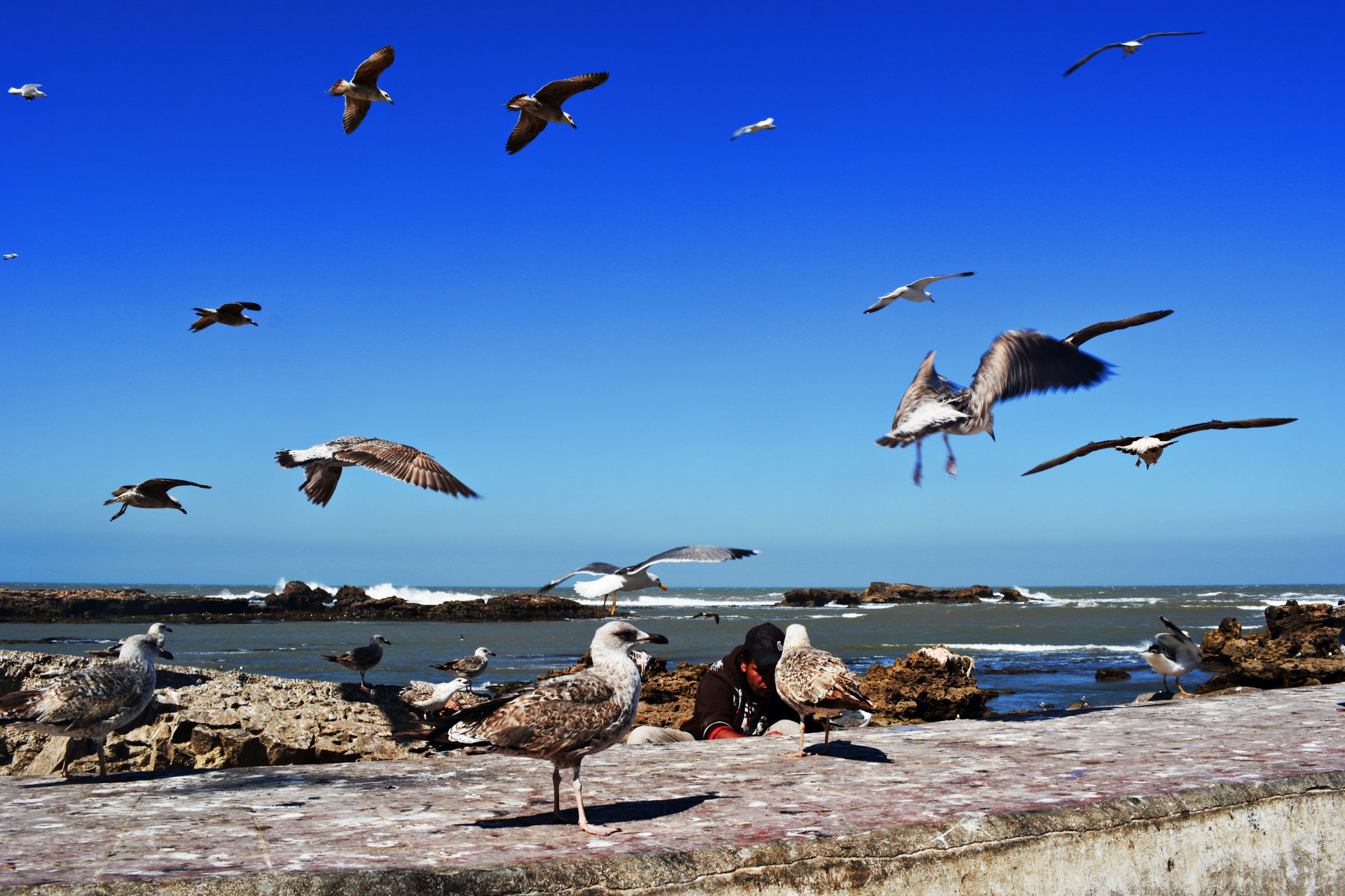 Эссуэйра - город чаек (Марокко)