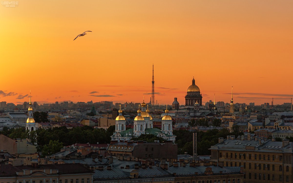 Рассвет в питере фото