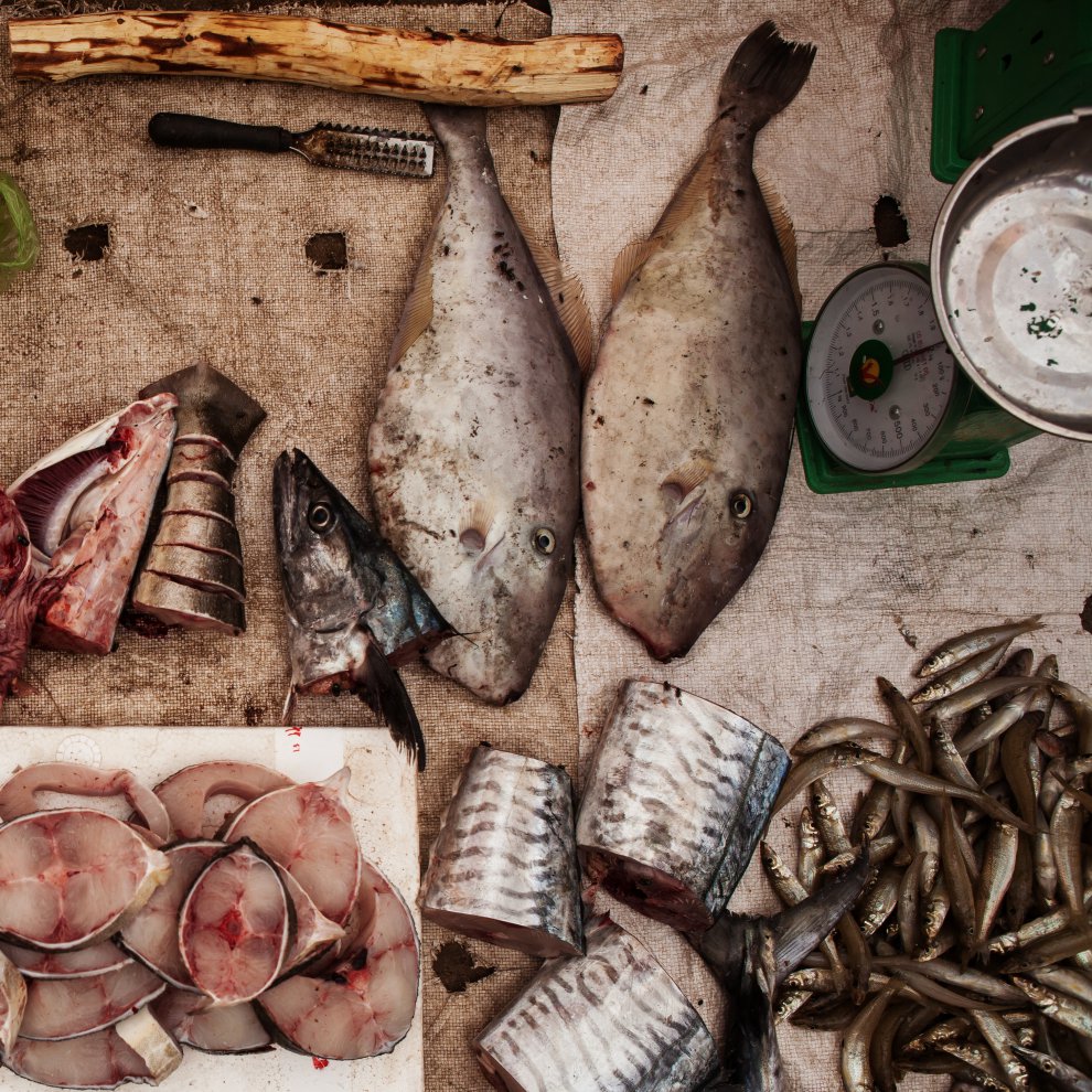 Диковинные рыбы Вьетнама