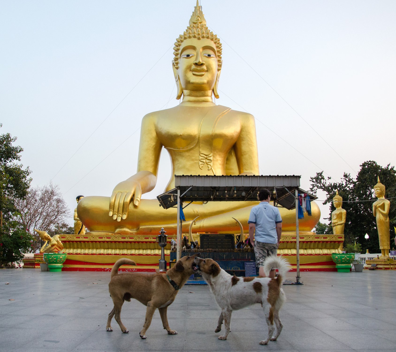 Мы снова вместе