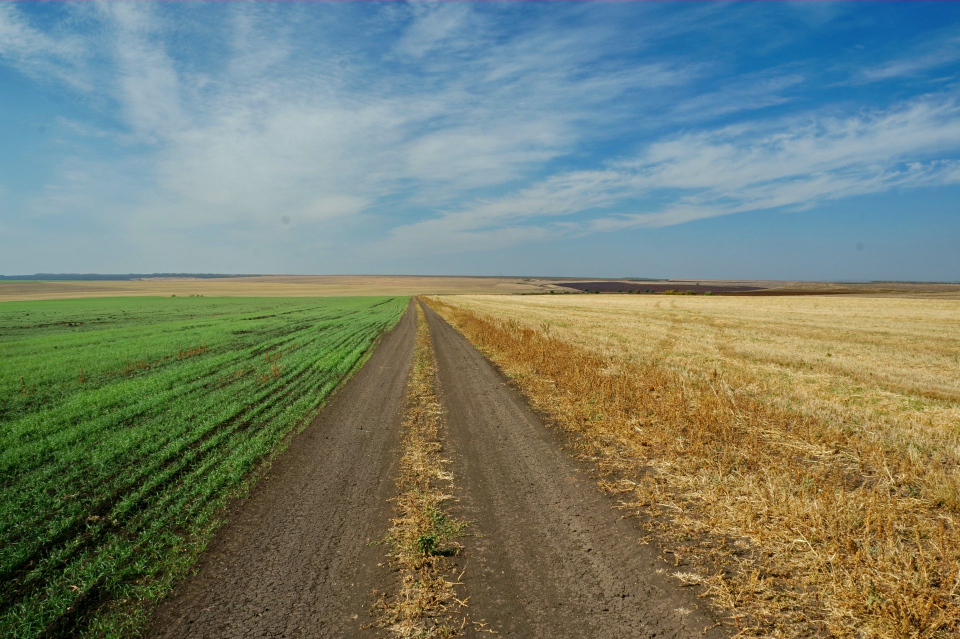 Возрождение