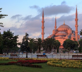 Blue mosque in red