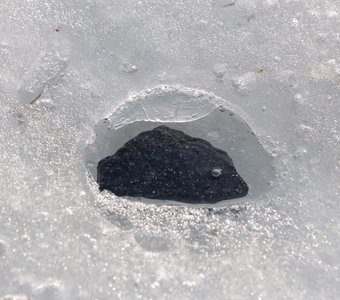 Под тающим льдом. Stonefish