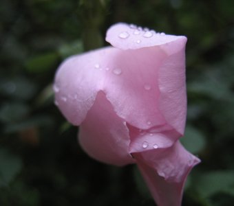 Нежное розовое