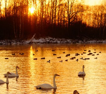 Закат на озере Светлом
