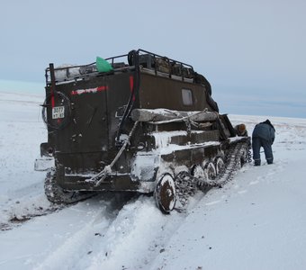 ЧП в тундре