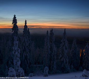 Koli