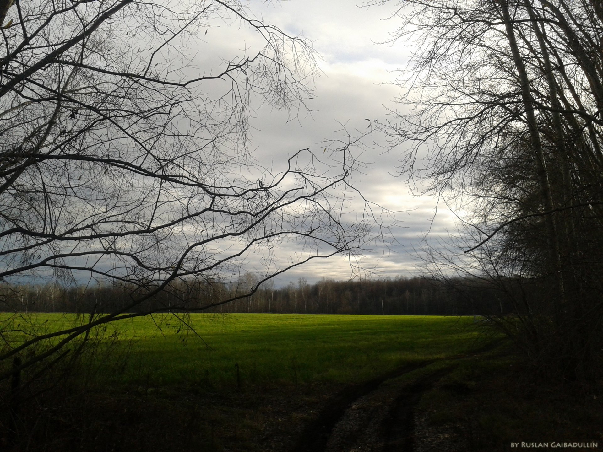 "Ноябрьский пейзаж"
