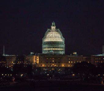 Капитолий США в лесах