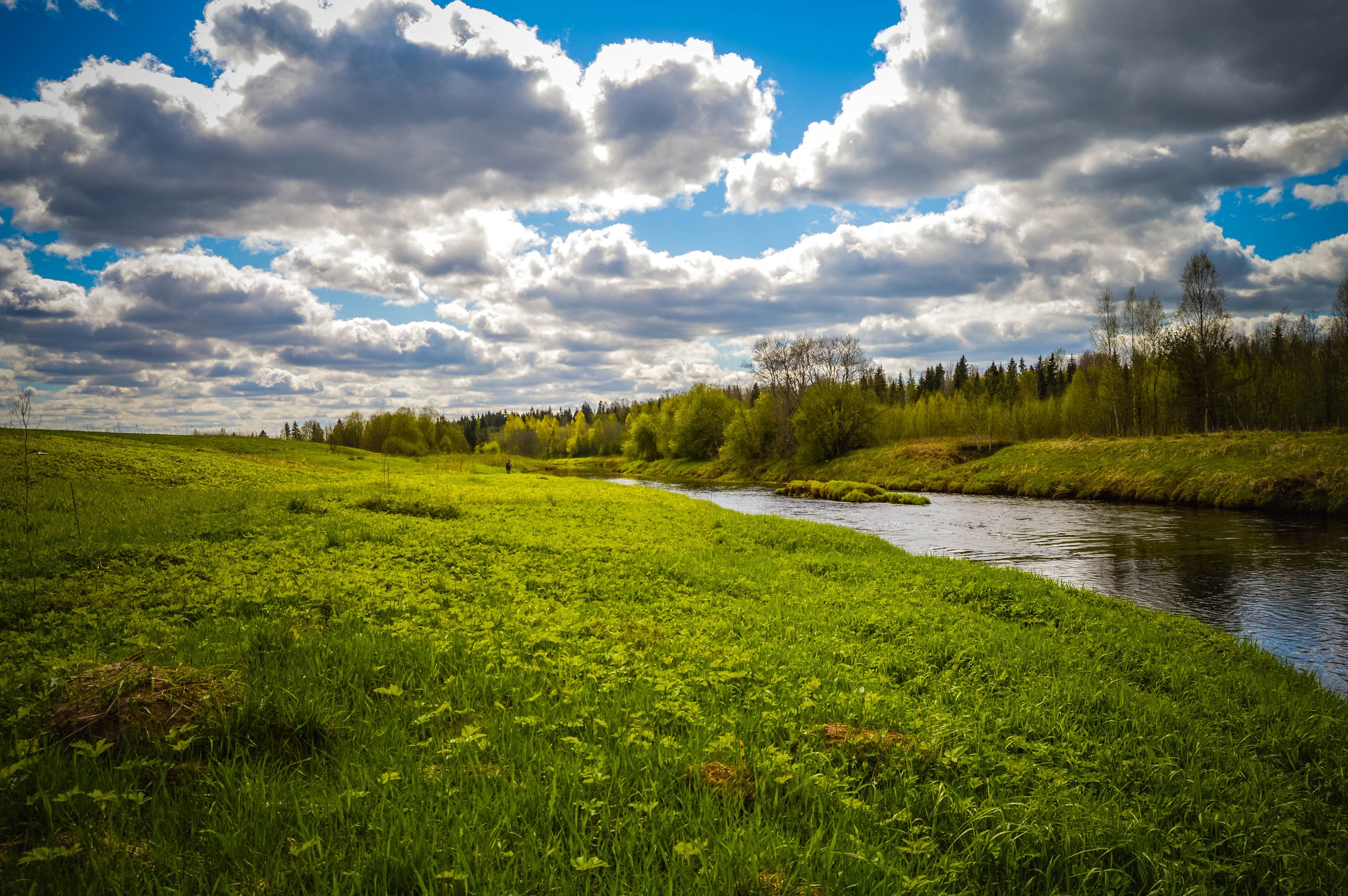 Летняя безмятежность