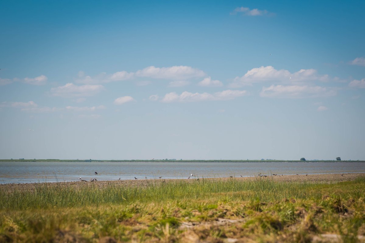 Село Займо обрыв Азовский район