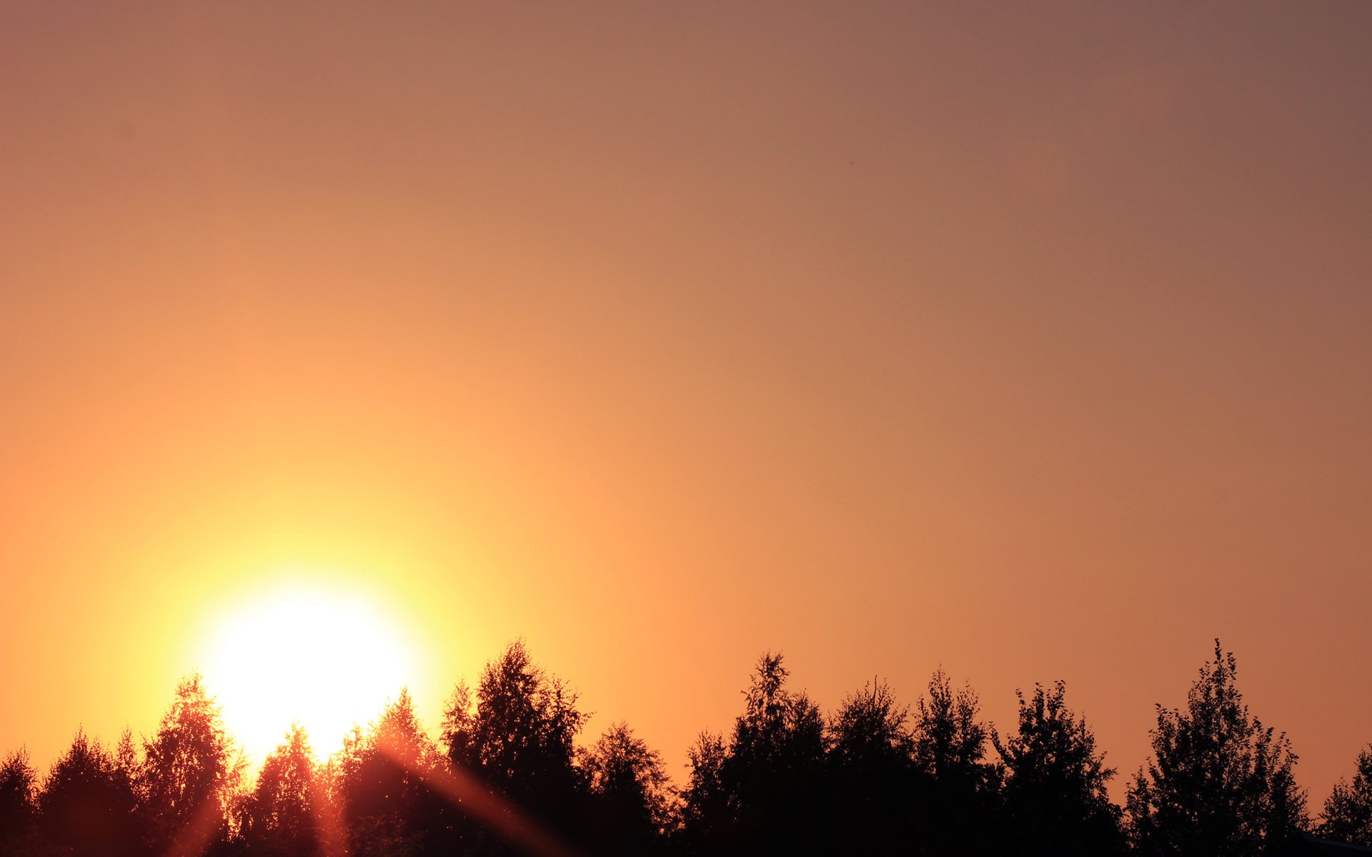 Августовский закат или оранжевое солнце светит