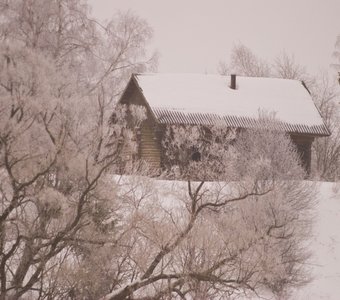 Зимний Дом