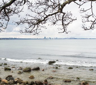 Балтийское море, Таллинн, Эстония / Baltic sea, Tallinn, Estonia