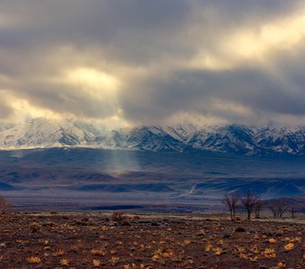 Луч света