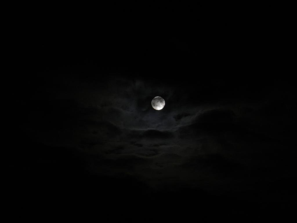 Темная ночь — Фото №139603