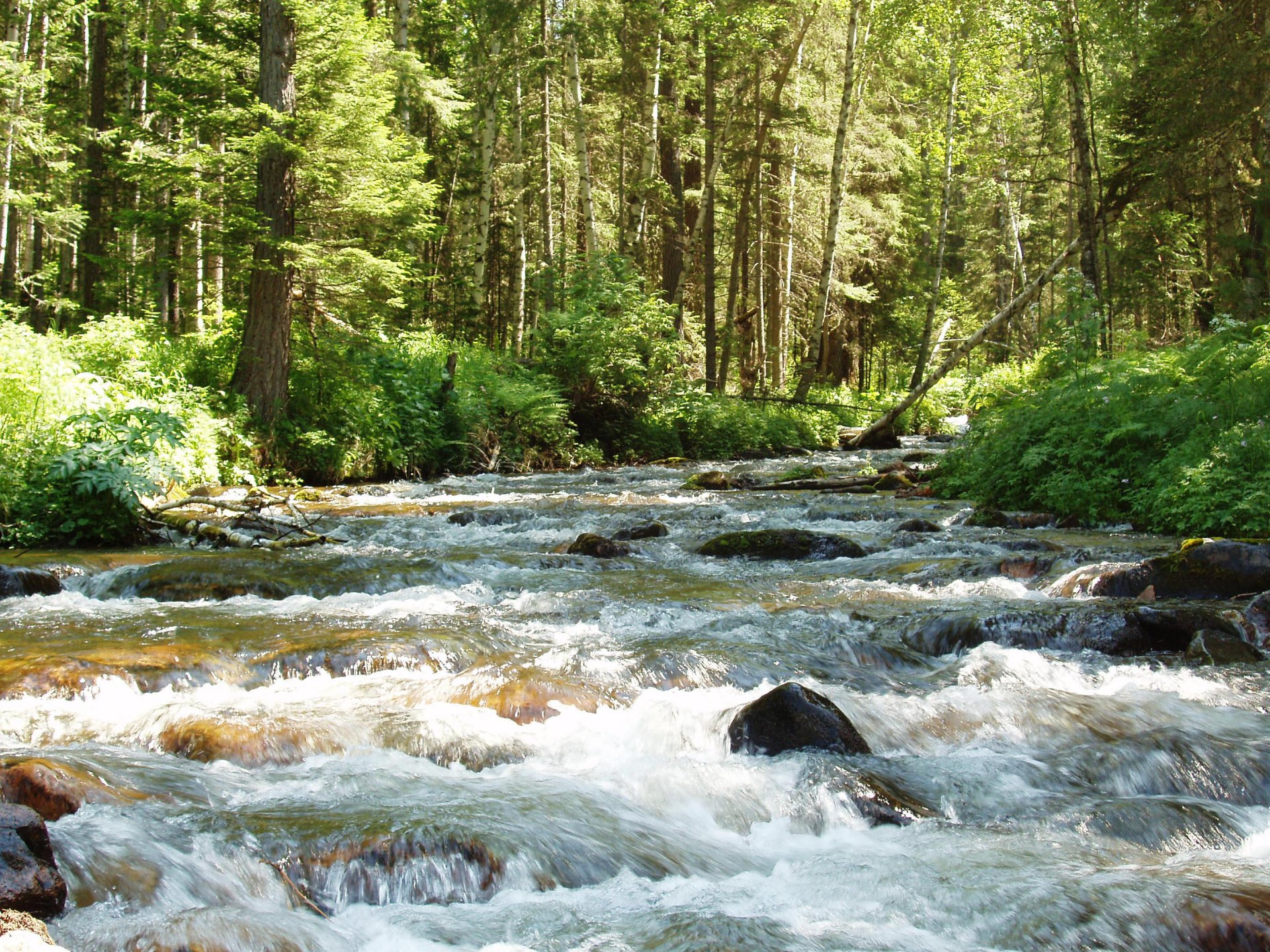 Вода вкуснее, чем кагор - в ней сок тайги и сила гор!