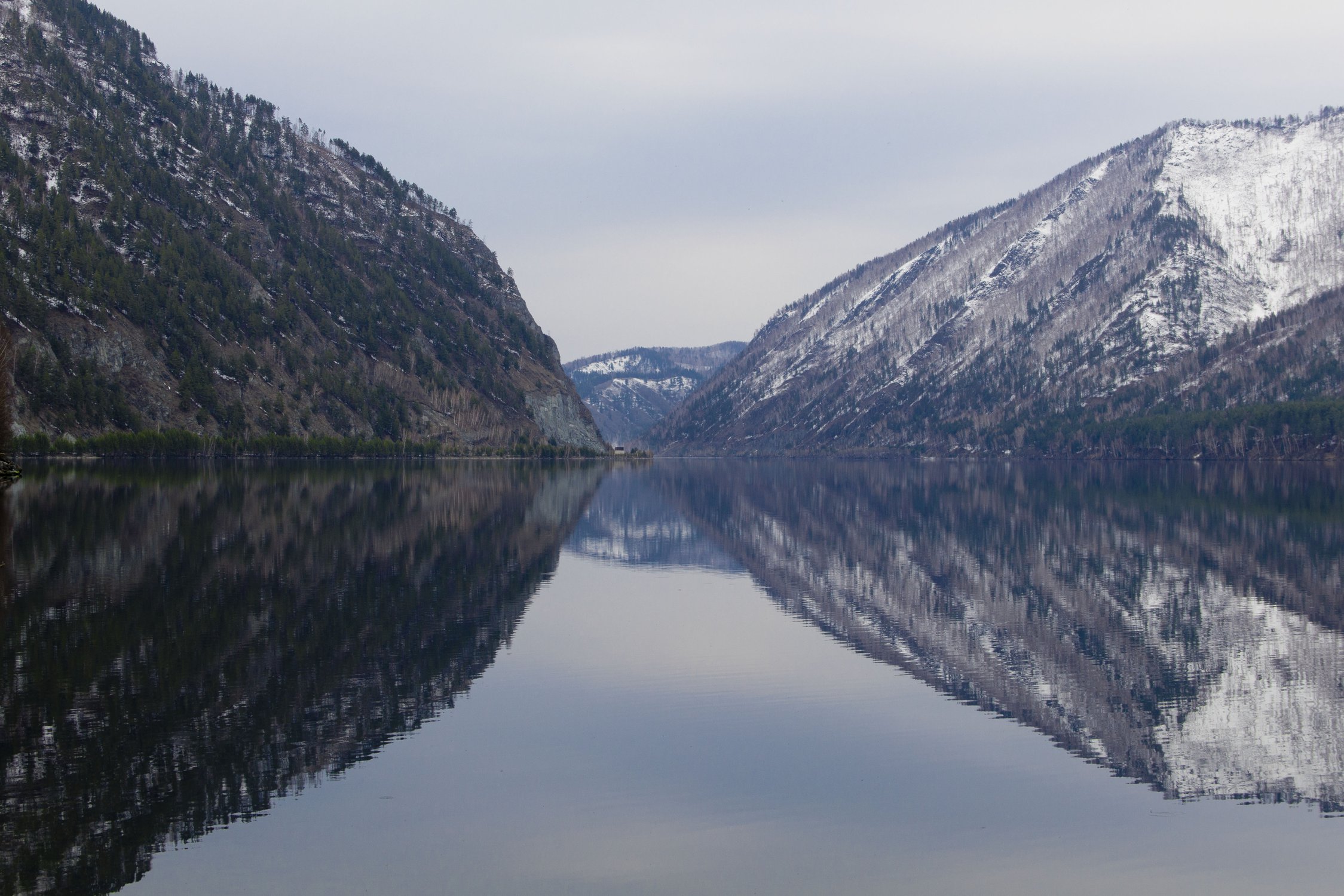 Симметрия природы