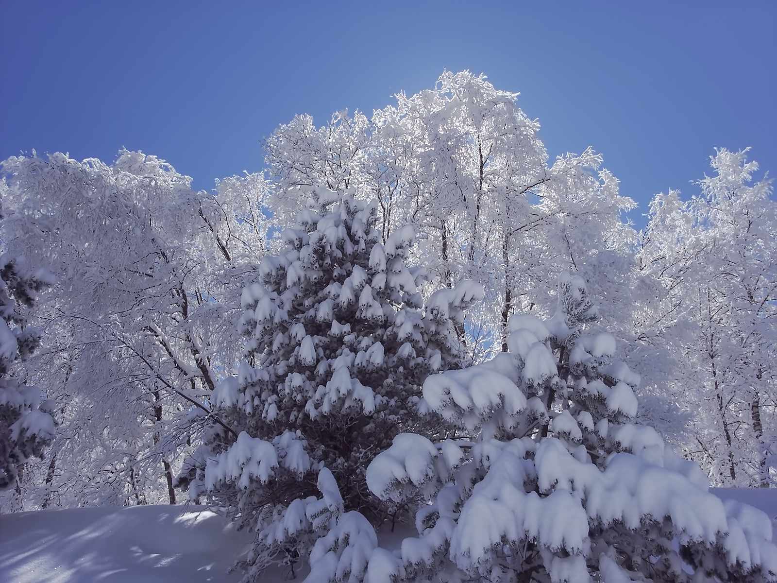 После снегопада в горах Кавказа