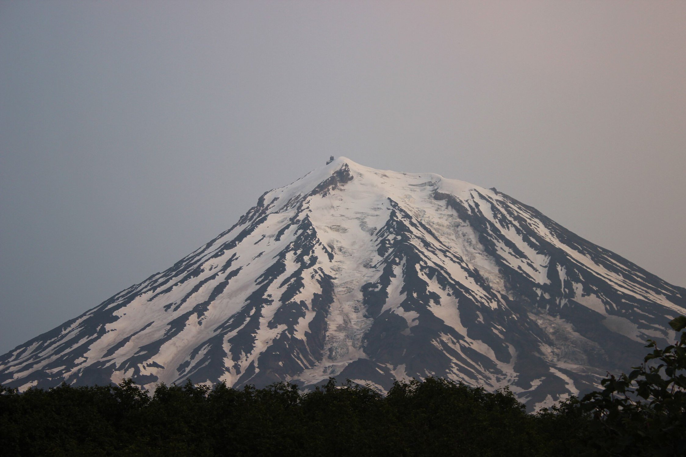 Коряка. Вид вблизи