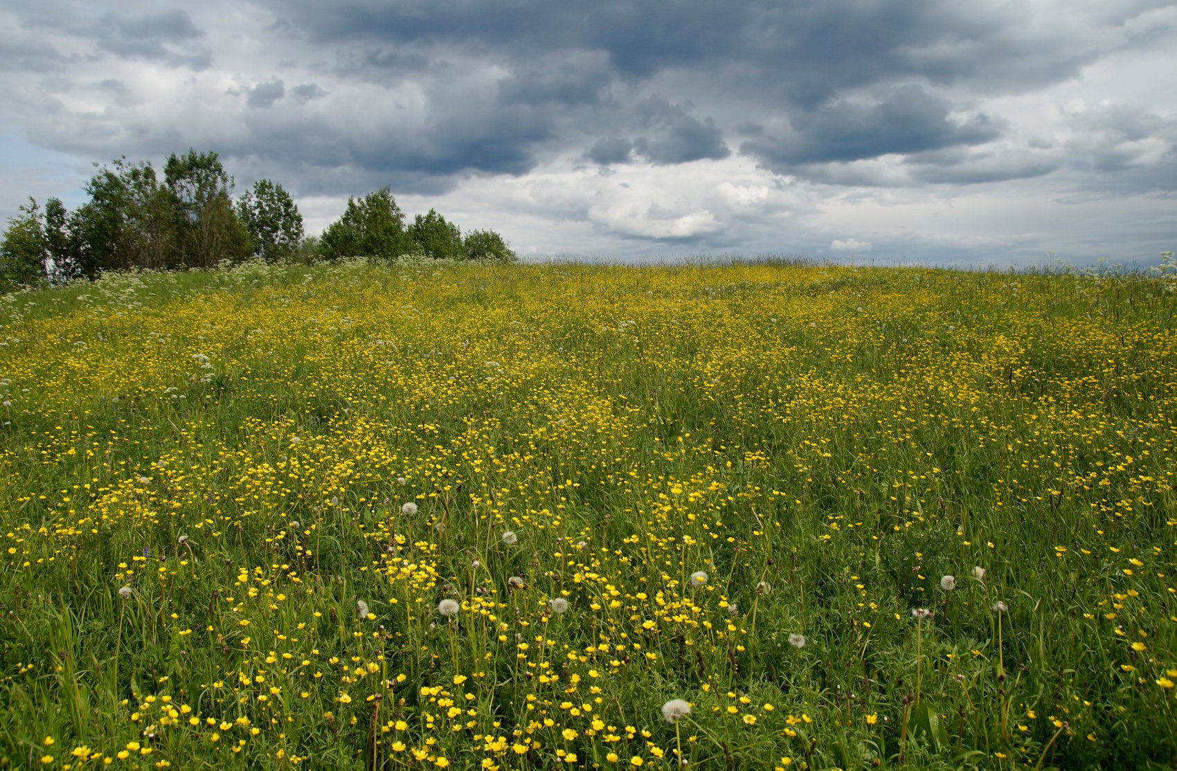Перед дождем