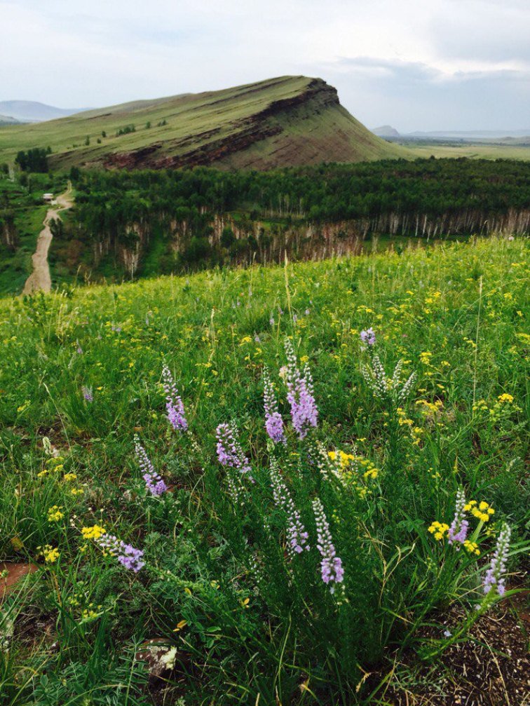 Хранитель легенд