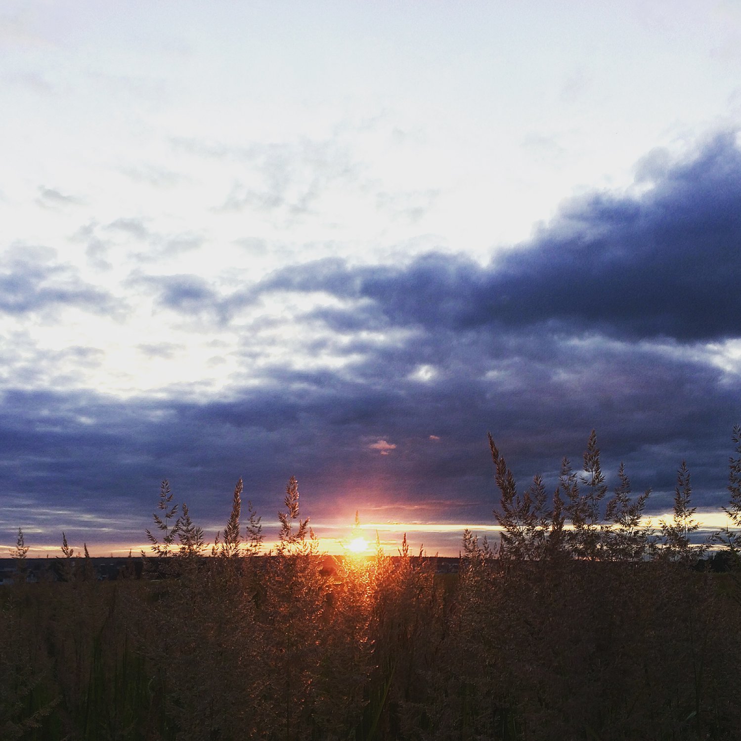 Момент единения с Солнцем