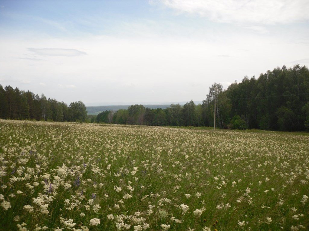 "Цветочная поляна"