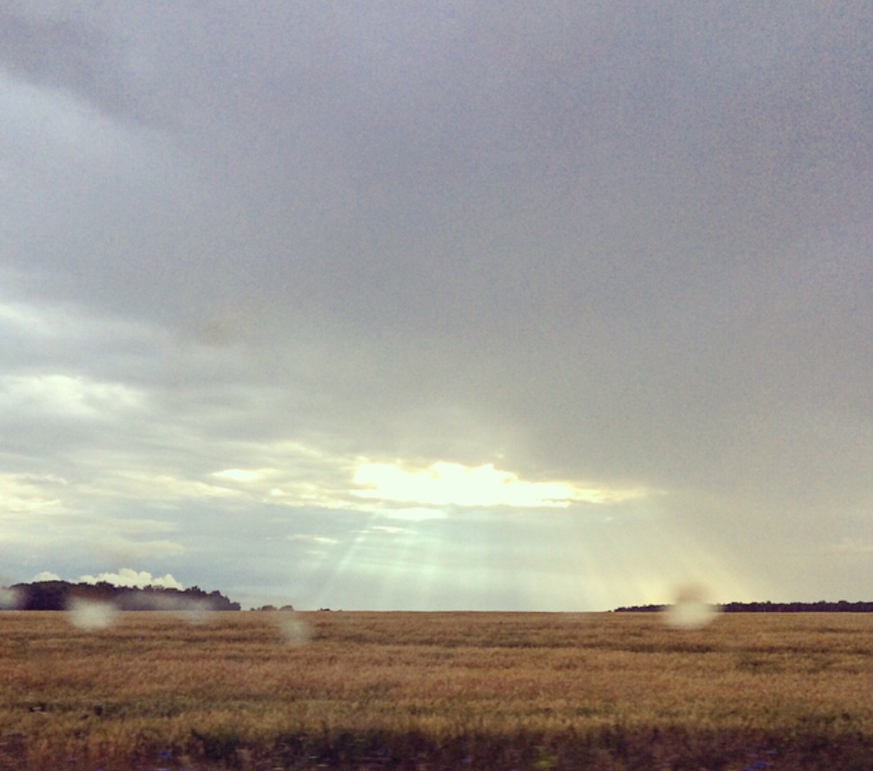 Глазами случайного прохожего