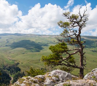 Вид на Лаго-Наки