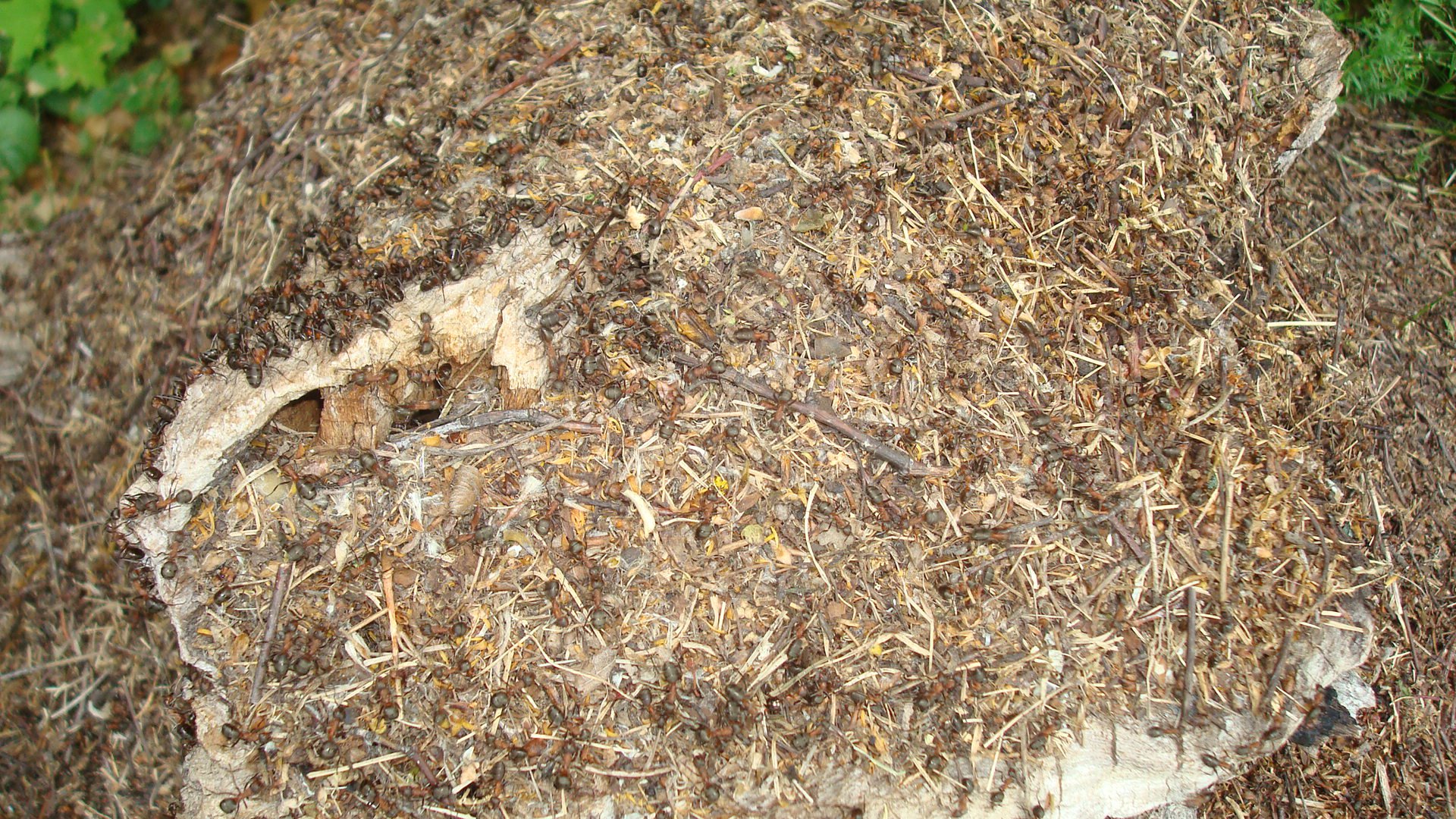 Разгар рабочего дня.